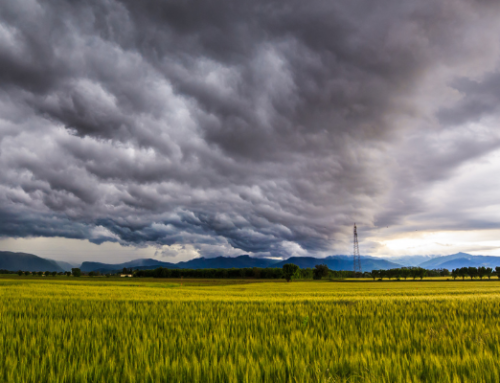 Helping to protect your business from the growing threat of storms